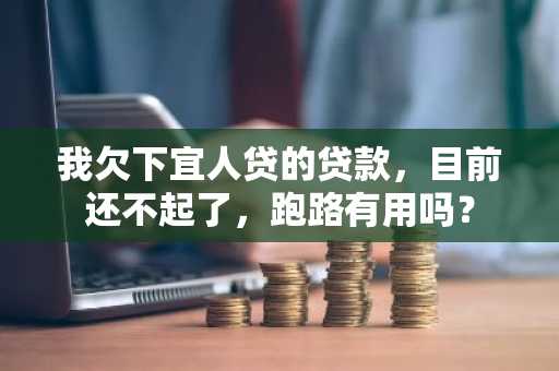 我欠下宜人贷的贷款，目前还不起了，跑路有用吗？