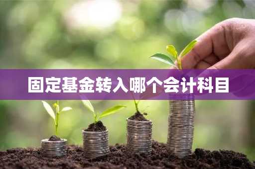 固定基金转入哪个会计科目