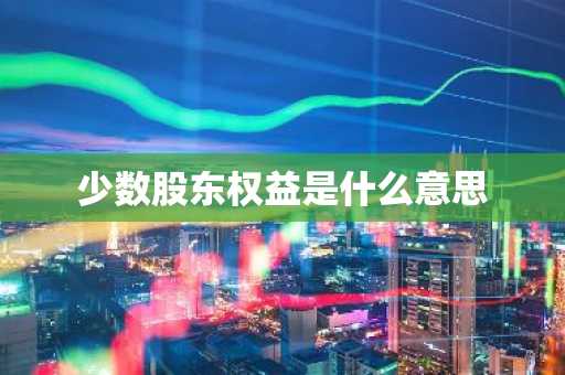 少数股东权益是什么意思