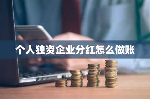 个人独资企业分红怎么做账