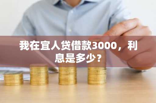 我在宜人贷借款3000，利息是多少？