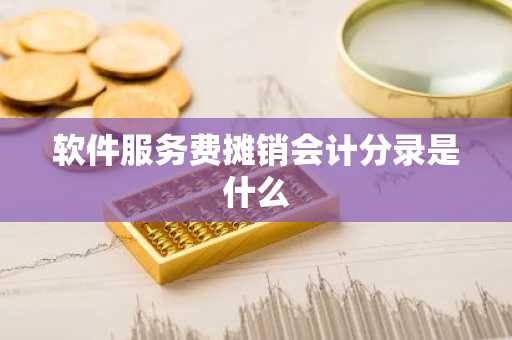 软件服务费摊销会计分录是什么
