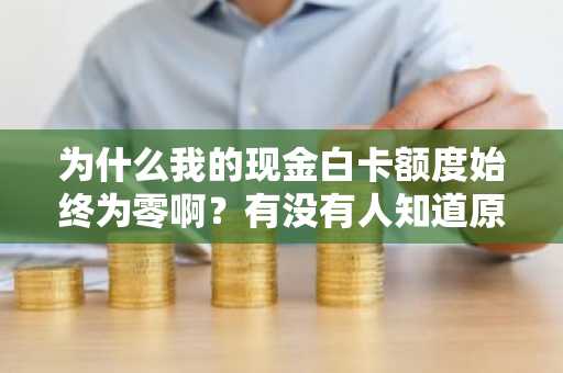 为什么我的现金白卡额度始终为零啊？有没有人知道原因啊？