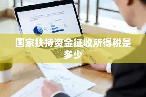 国家扶持资金征收所得税是多少