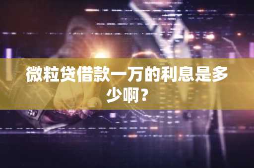 微粒贷借款一万的利息是多少啊？