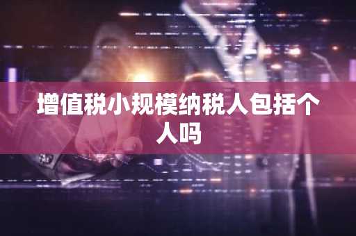 增值税小规模纳税人包括个人吗