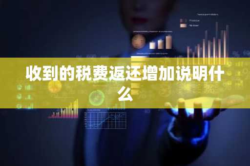 收到的税费返还增加说明什么