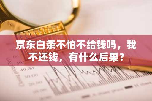 京东白条不怕不给钱吗，我不还钱，有什么后果？