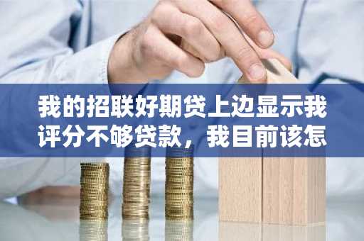 我的招联好期贷上边显示我评分不够贷款，我目前该怎么办啊？