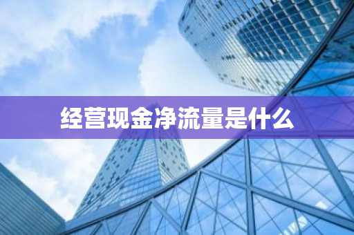 经营现金净流量是什么