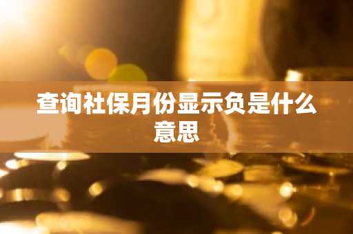 查询社保月份显示负是什么意思
