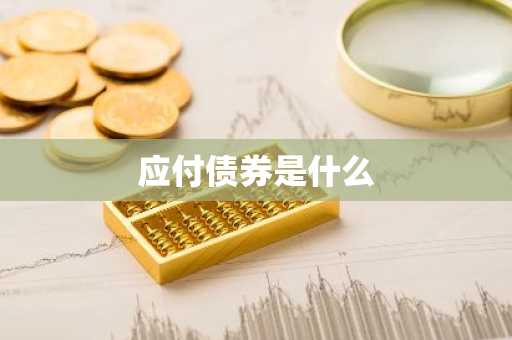 应付债券是什么