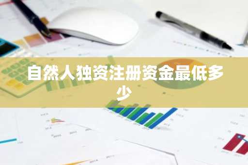自然人独资注册资金最低多少