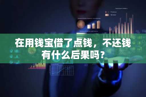 在用钱宝借了点钱，不还钱有什么后果吗？