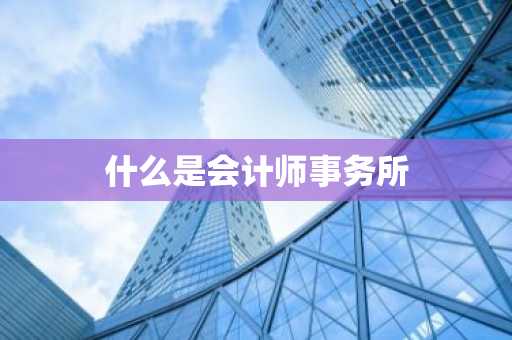 什么是会计师事务所
