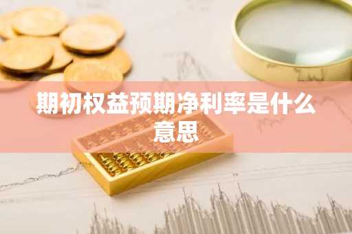 期初权益预期净利率是什么意思