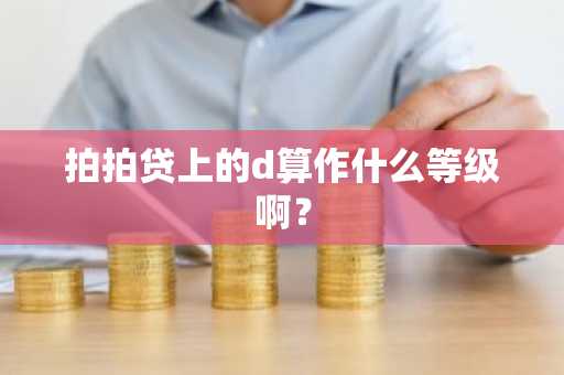 拍拍贷上的d算作什么等级啊？