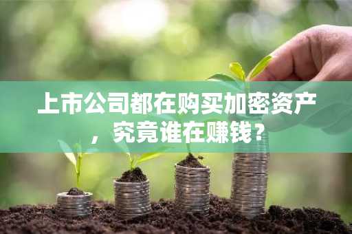 上市公司都在购买加密资产，究竟谁在赚钱？