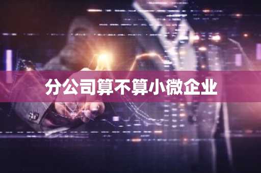 分公司算不算小微企业