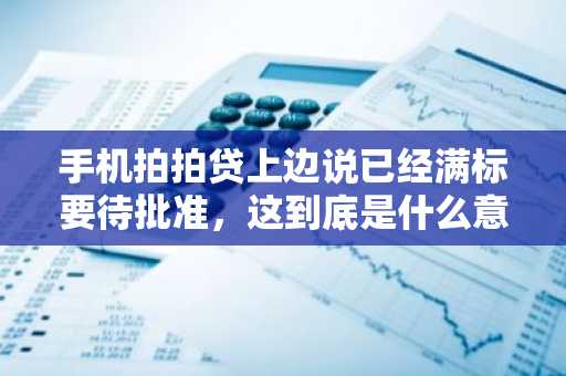 手机拍拍贷上边说已经满标要待批准，这到底是什么意思啊？