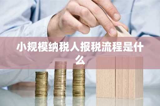 小规模纳税人报税流程是什么
