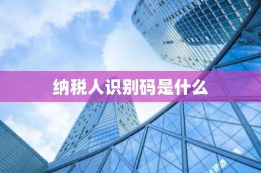纳税人识别码是什么