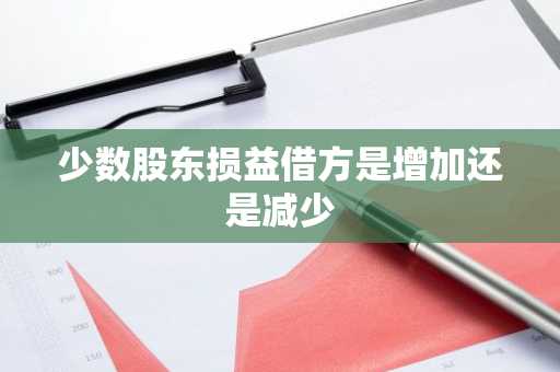 少数股东损益借方是增加还是减少