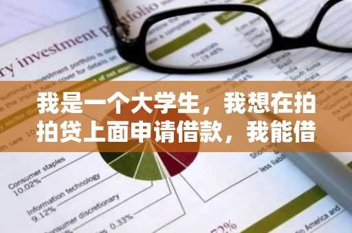 我是一个大学生，我想在拍拍贷上面申请借款，我能借到多少钱？