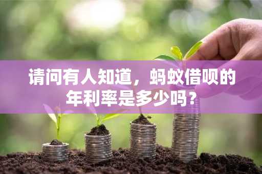 请问有人知道，蚂蚁借呗的年利率是多少吗？