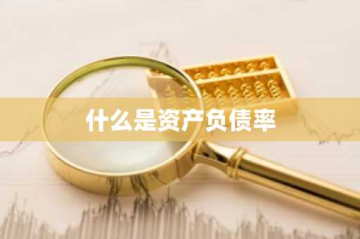什么是资产负债率