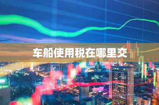 车船使用税在哪里交
