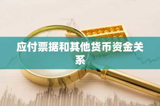 应付票据和其他货币资金关系