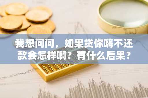 我想问问，如果贷你嗨不还款会怎样啊？有什么后果？