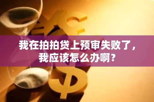 我在拍拍贷上预审失败了，我应该怎么办啊？