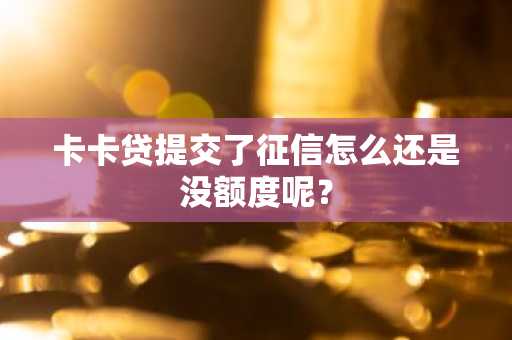 卡卡贷提交了征信怎么还是没额度呢？