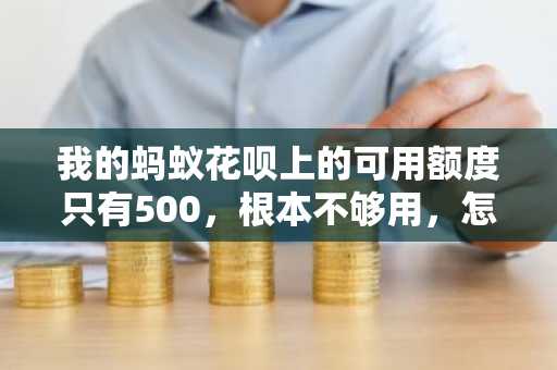 我的蚂蚁花呗上的可用额度只有500，根本不够用，怎么提高可用额度？