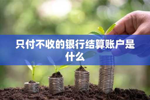 只付不收的银行结算账户是什么