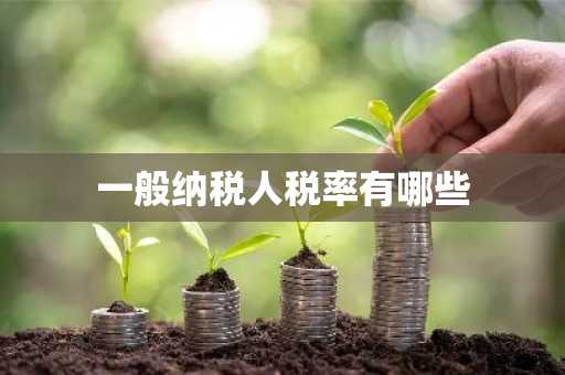 一般纳税人税率有哪些