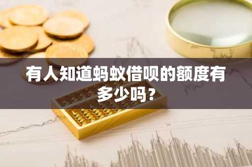 有人知道蚂蚁借呗的额度有多少吗？