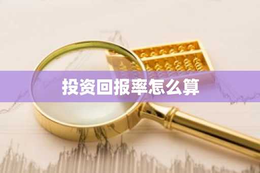 投资回报率怎么算