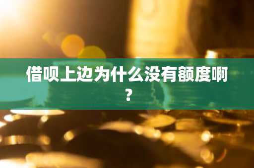 借呗上边为什么没有额度啊？