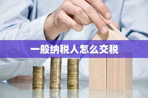 一般纳税人怎么交税