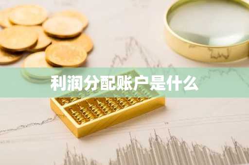 利润分配账户是什么