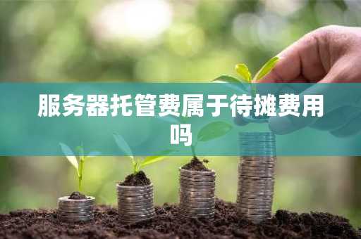 服务器托管费属于待摊费用吗