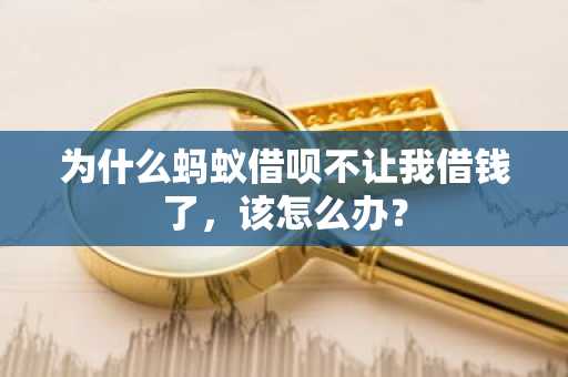 为什么蚂蚁借呗不让我借钱了，该怎么办？