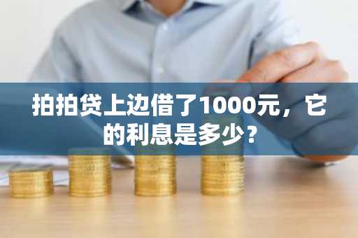 拍拍贷上边借了1000元，它的利息是多少？
