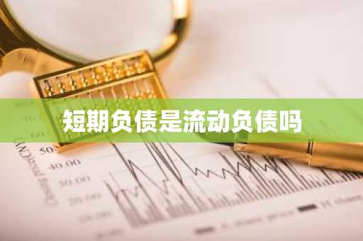 短期负债是流动负债吗