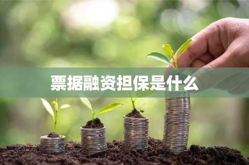 票据融资担保是什么