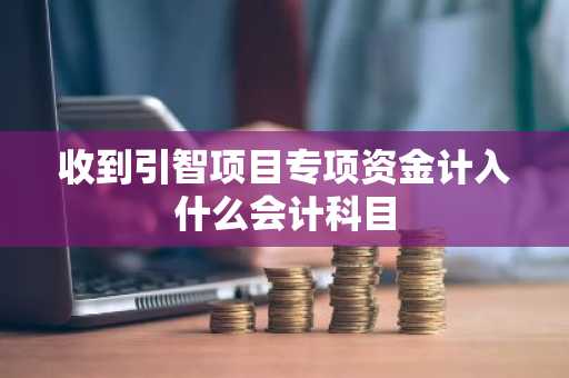 收到引智项目专项资金计入什么会计科目