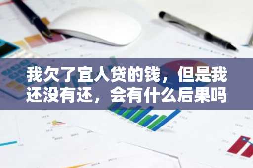 我欠了宜人贷的钱，但是我还没有还，会有什么后果吗？
